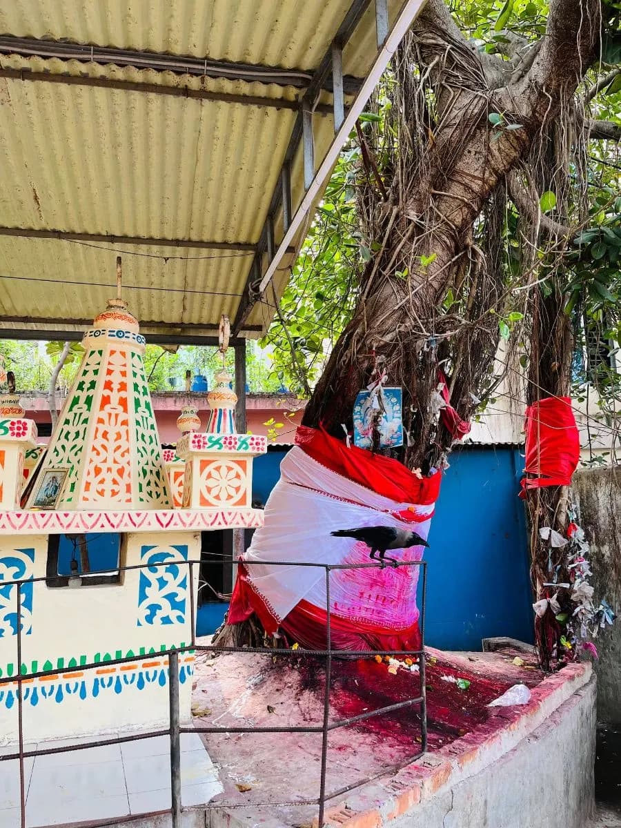 শ্রী শ্রী চট্টেশ্বরী কালী মন্দির photo
