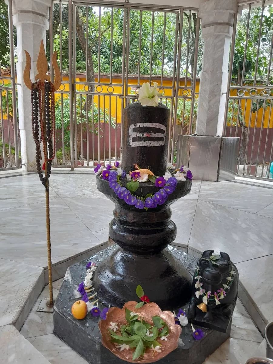 শ্রী শ্রী বুড়া শিব বাড়ি photo