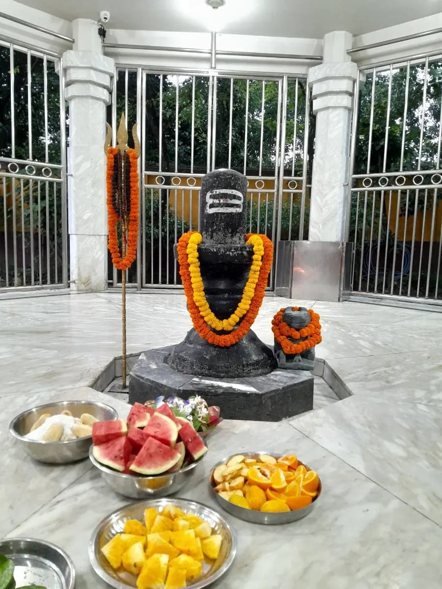শ্রী শ্রী বুড়া শিব বাড়ি photo